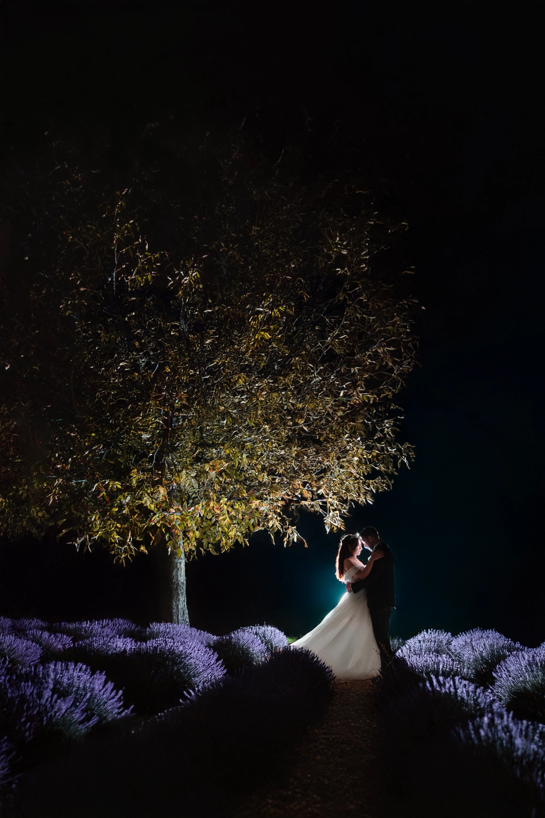 gece-lavanta-bahcesi-dis-cekim